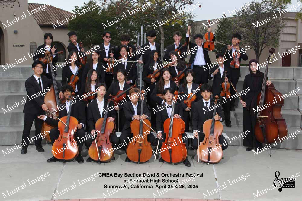 Musical Images